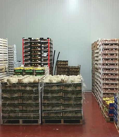 Distribuzione Alimentare Toscana